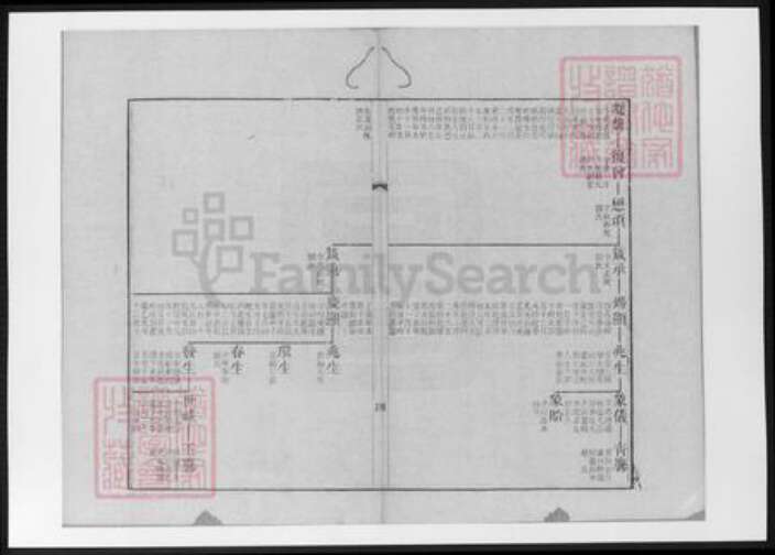 江苏省扬州市王氏族谱-宝应白田王氏小湖公本支世系图.pdf电子版预览图5