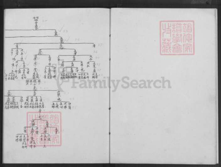 福建省泉州市金门县金沙陈氏族谱-金门陈氏家谱.斗门学考甲祖后房家谱.pdf电子版预览图5