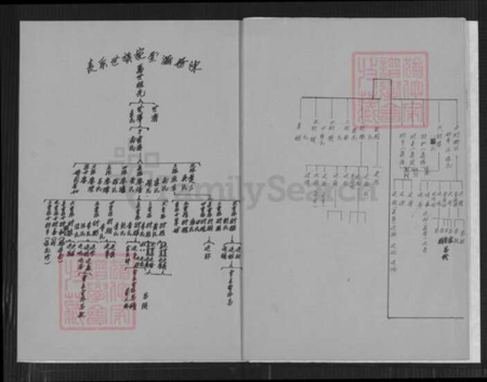 安徽省芜湖市陈氏务滋堂族谱-陈务滋堂家谱世系表.pdf电子版预览图5