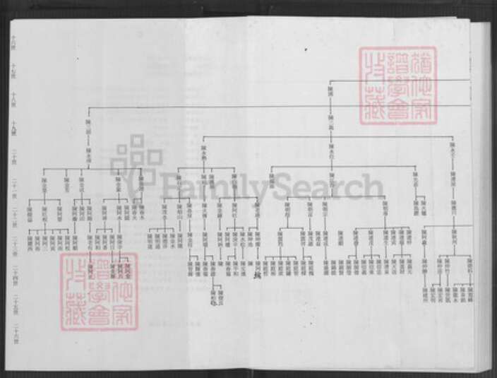 台湾台北市文山区陈氏族谱-陈志抱派下谱系世系表.pdf电子版预览图5