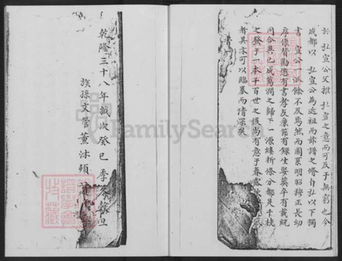 福建省漳州市长泰县枋洋镇张氏清河堂族谱-演柄张氏族谱.pdf电子版预览图5