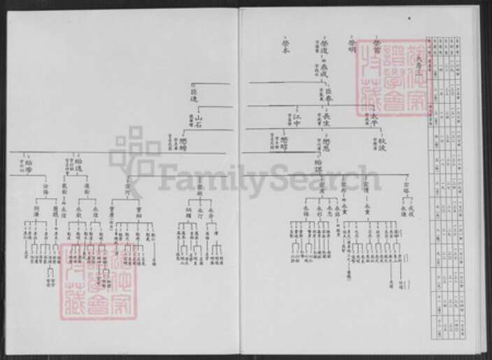 台湾新北市淡水区李氏族谱-淡水镇北投子山脚燕楼李氏派下系统图.pdf电子版预览图5
