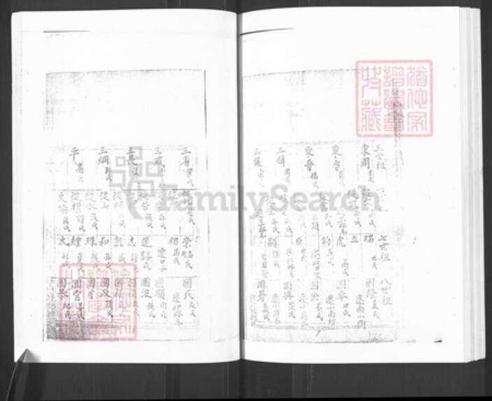 山东省烟台市栖霞市王氏族谱-栖霞王氏族谱.pdf电子版预览图5