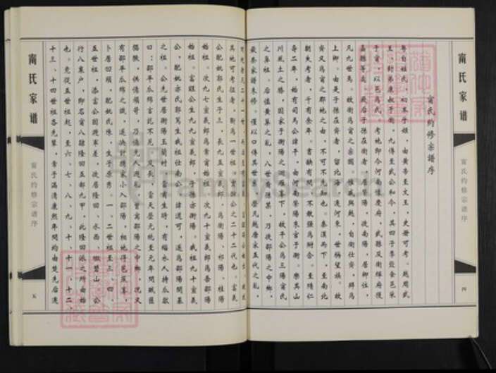 四川省成都市新都区清流镇宁氏庆延堂族谱-蜀西繁江清渔镇宁氏家谱.pdf电子版预览图5