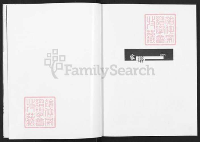 山西省临汾市蒲县蒲城镇山西省临汾市蒲县蒲城杨；杨氏族谱-蒲县荆坡村杨氏宗族家谱.pdf电子版预览图5