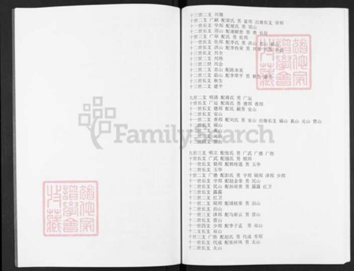 山东省泰安市东平县州城街道王氏族谱-王氏族谱.pdf电子版预览图5