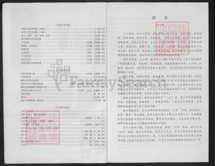 福建省厦门市集美区王氏族谱-厦门凤林王氏族谱.pdf电子版预览图5