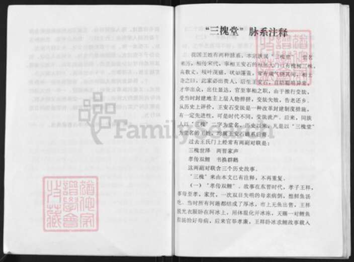 江苏省扬州市高邮市三垛镇王氏三槐堂族谱-王氏家谱.pdf电子版预览图5