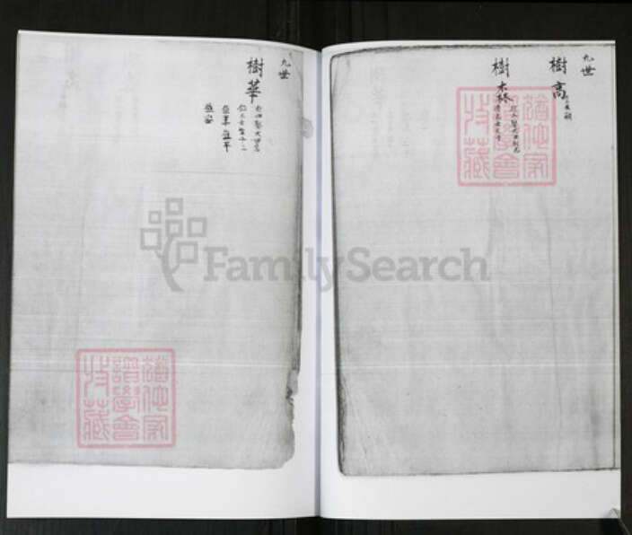 山东省青岛市即墨区管氏族谱-管氏祖谱 [不分卷].pdf电子版预览图5