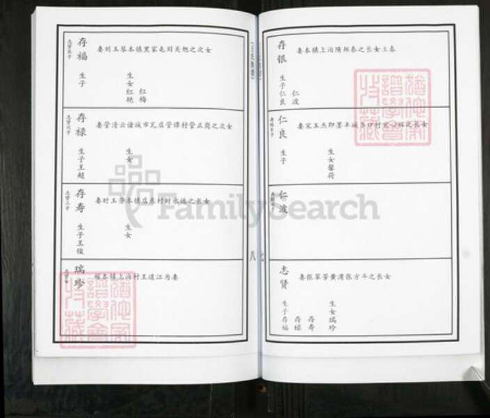 山东省青岛市即墨区王氏族谱-移风店镇堤前村王氏族谱.pdf电子版预览图5