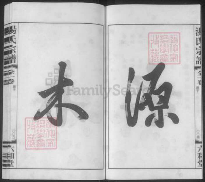 江苏省常州市金坛区汤氏六和堂族谱-殷庄汤氏宗谱下汤支谱.pdf电子版预览图5