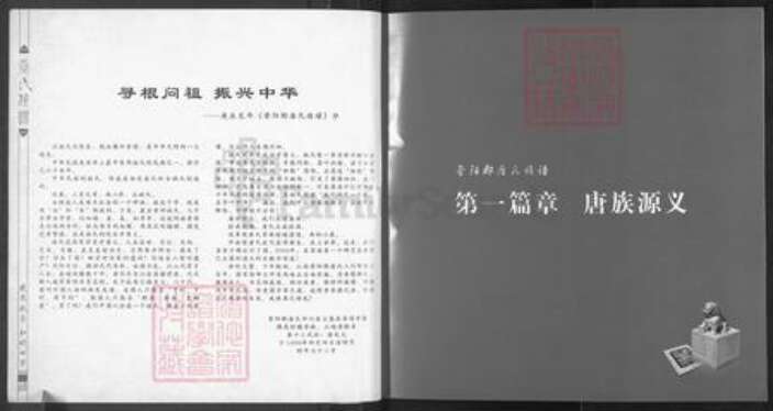 四川省遂宁市大英县唐氏族谱-唐氏族谱.pdf电子版预览图5