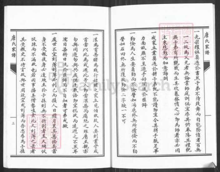 湖南省永州市零陵区唐氏族谱-唐氏家谱.pdf电子版预览图5