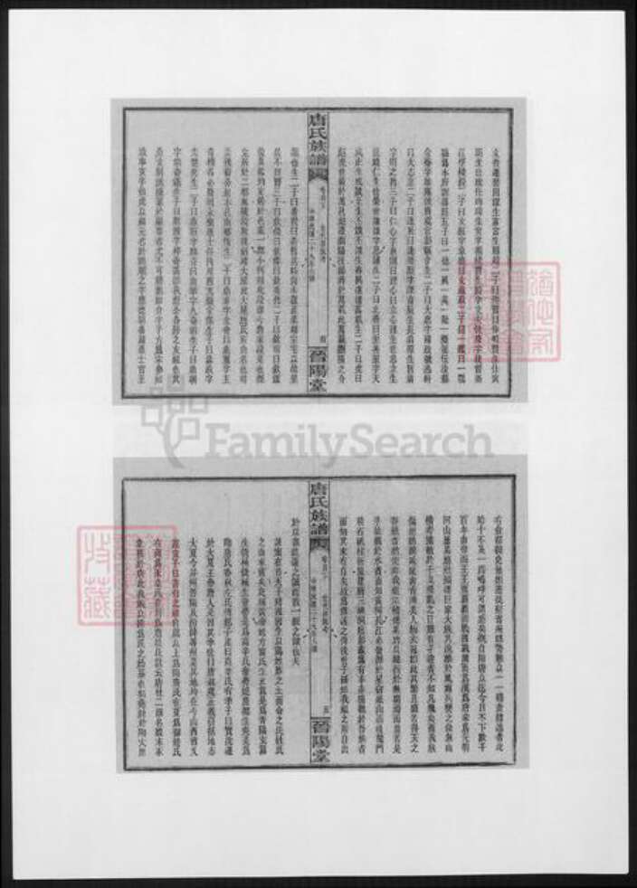 湖南省长沙市浏阳市浏阳唐氏族谱-晋阳唐氏族谱.pdf电子版预览图5