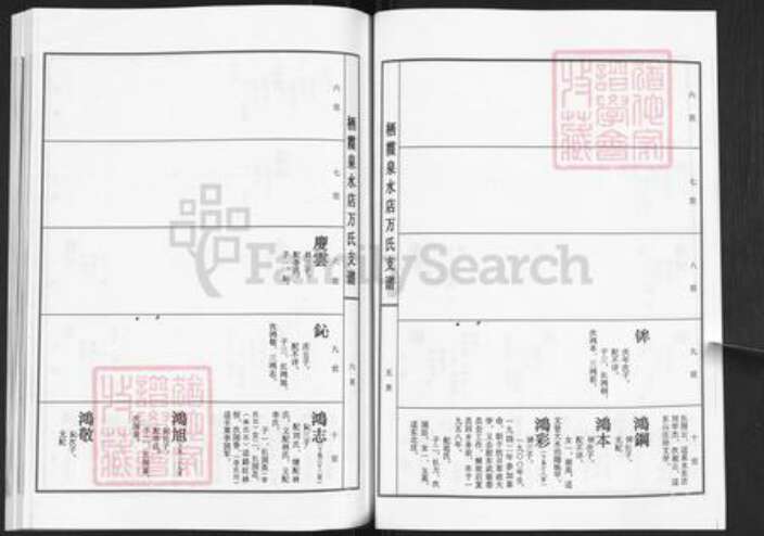 山东省烟台市栖霞市万氏族谱-栖霞市藏家庄镇泉水店万氏支谱.pdf电子版预览图5