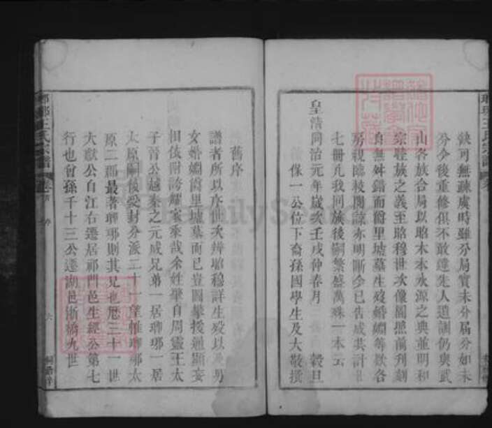 江西省九江市湖口县王氏族谱-琅琊王氏宗谱 [不分卷].pdf电子版预览图5