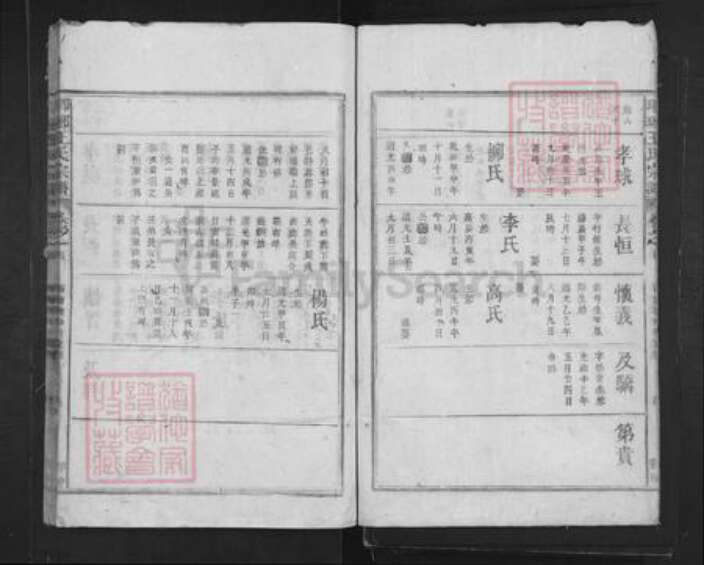 山东省临沂市临沂市王氏族谱-琅琊王氏宗谱.pdf电子版预览图5