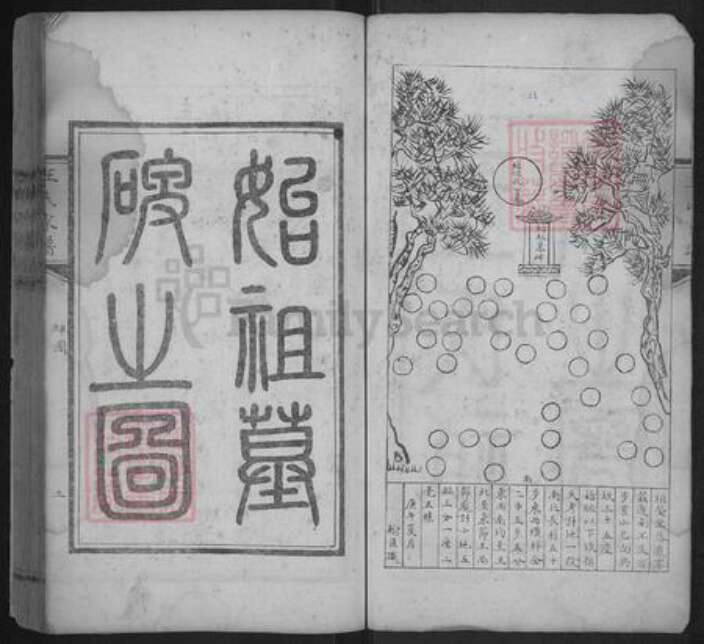 河北省沧州东光县王氏族谱-王氏家谱.pdf电子版预览图5