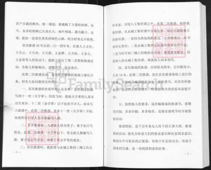 河南省开封市通许县王氏族谱-赵辉三槐王氏家谱.pdf电子版预览图5