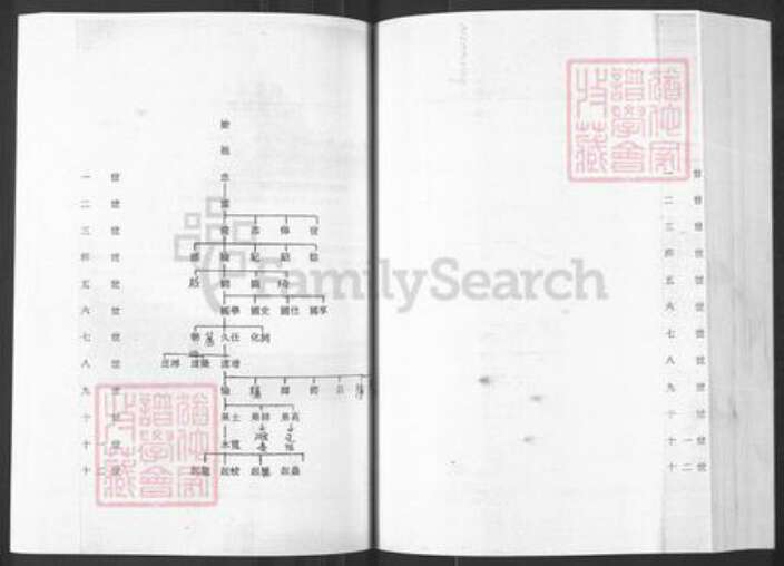 山东省烟台市栖霞市王氏族谱-山东栖霞邵庄泥都村王世家谱.pdf电子版预览图5