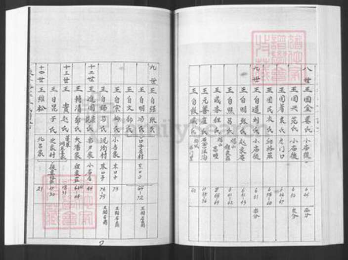 山东省烟台市栖霞市王氏族谱-王氏家谱.pdf电子版预览图5