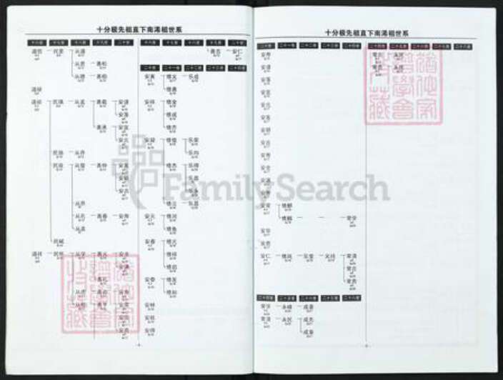 湖北省黄冈市英山县王氏族谱-英山王氏.pdf电子版预览图5