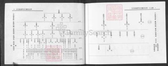 山西省吕梁市柳林县孟门镇王氏族谱-王氏家谱.pdf电子版预览图5