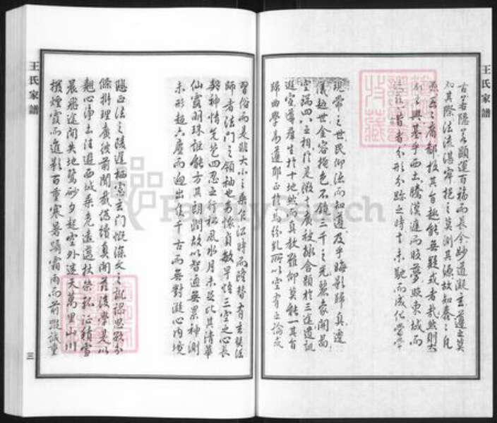 河北省沧州黄骅市旧城镇王氏族谱-王氏家谱.pdf电子版预览图5