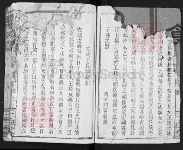 江西省吉安市安福县王氏三白堂族谱-王氏族谱.pdf电子版预览图5