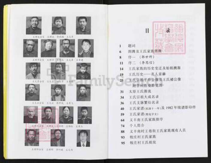 山西省吕梁市汾阳市王氏族谱-王氏家谱.pdf电子版预览图5