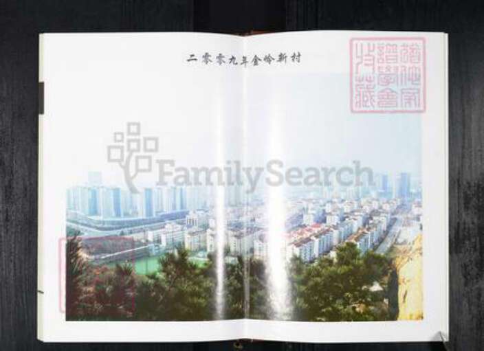 山东省青岛市王氏族谱-金家岭王氏族谱.pdf电子版预览图5