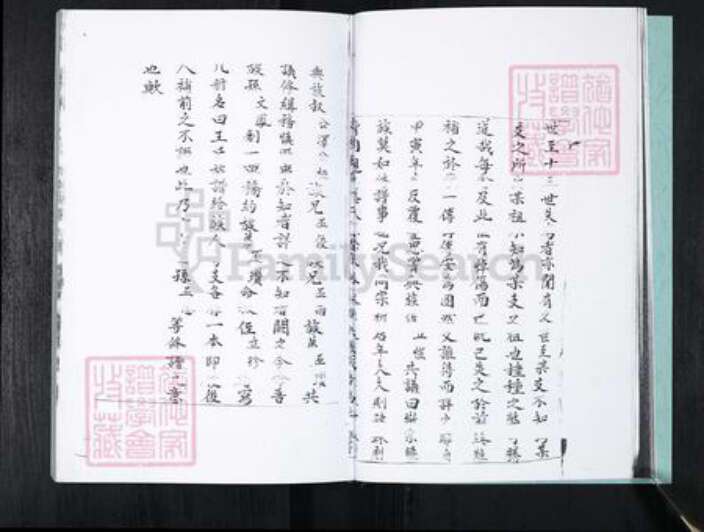 山东省青岛市崂山区王氏族谱-中韩社区王氏族谱.pdf电子版预览图5