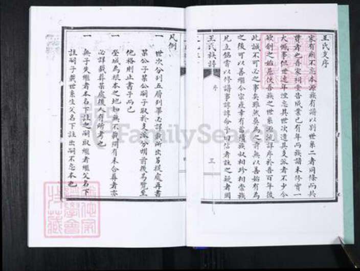 山东省青岛市崂山区王氏族谱-北村孙后王氏族谱.pdf电子版预览图5