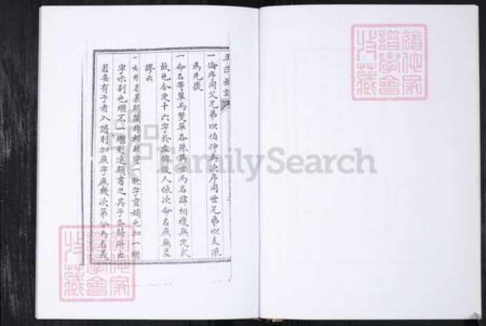 山东省青岛市王氏族谱-王氏族谱.王家庄信村.pdf电子版预览图5