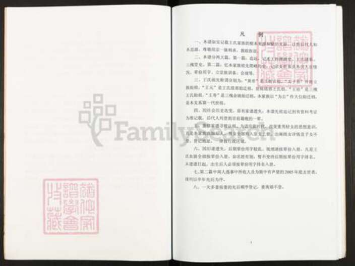 江苏省扬州市仪征市大仪镇王氏三槐堂族谱-王氏家谱.pdf电子版预览图5