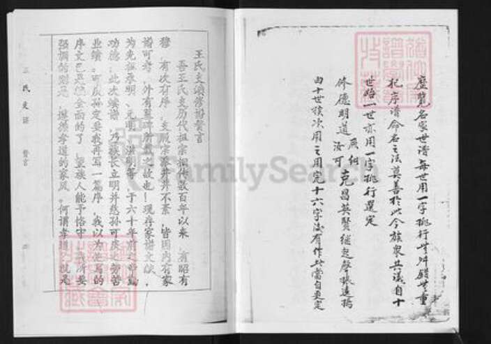 山东省淄博市淄川区王氏族谱-山东淄川城东王氏支谱.pdf电子版预览图5