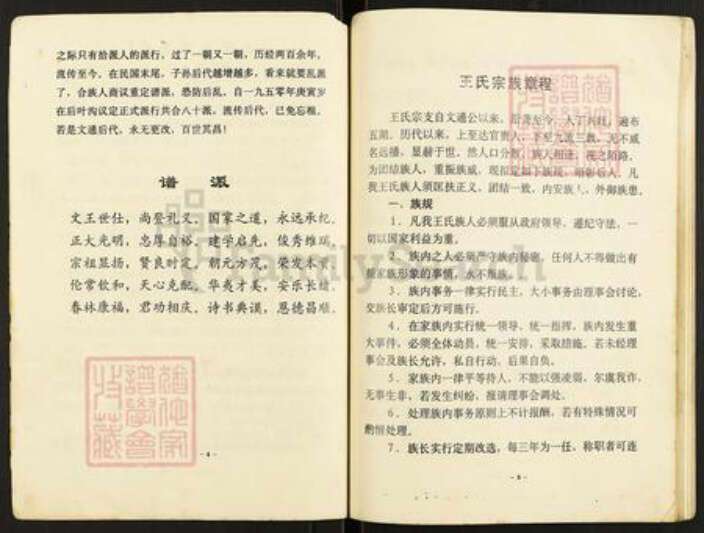 重庆市云阳县王氏族谱-王氏族谱.pdf电子版预览图5