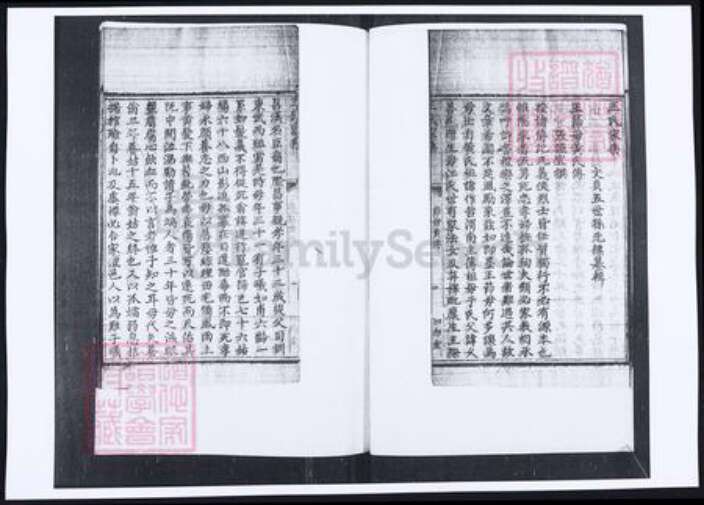 山东省青岛市即墨区王氏族谱-山东即墨王氏家乘载荣录.pdf电子版预览图5