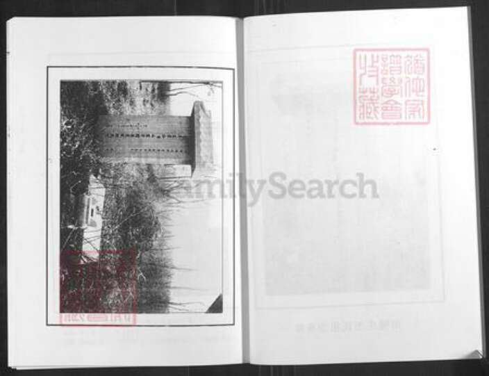 山东省淄博市淄川区韦氏族谱-韦氏世谱.pdf电子版预览图5