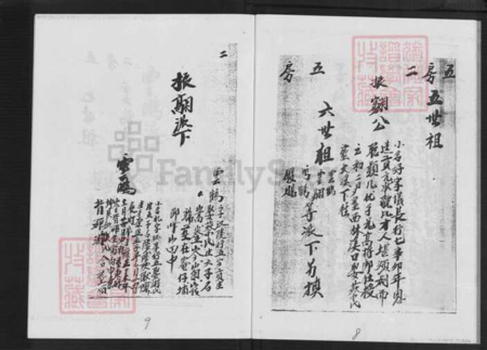 福建省漳州市平和县大溪镇陈氏树德堂族谱-颍川陈氏族谱.pdf电子版预览图5