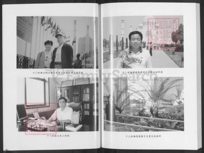 山西省阳泉市平定县冠山镇杨氏族谱-杨氏族谱.pdf电子版预览图5