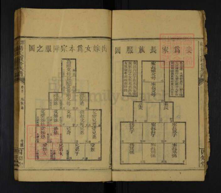 湖南省邵阳市邵东杨氏四知堂族谱-邵东杨氏续修族谱.pdf电子版预览图5