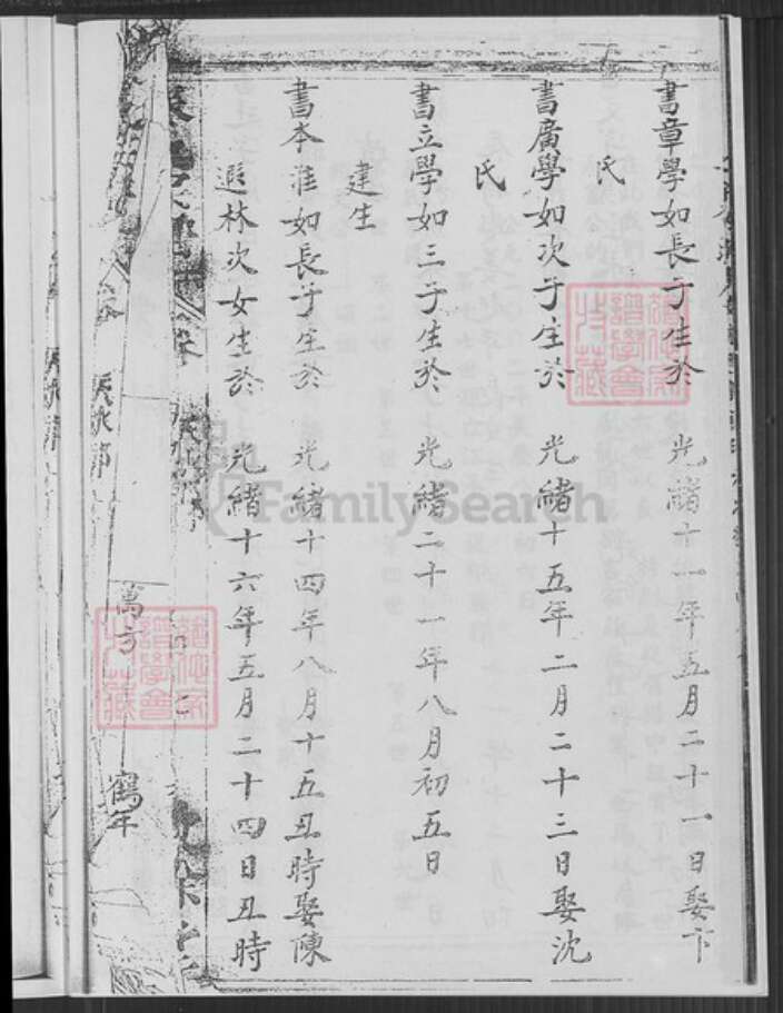 江苏省盐城市亭湖区秦氏敦余堂族谱-秦氏宗谱.pdf电子版预览图5