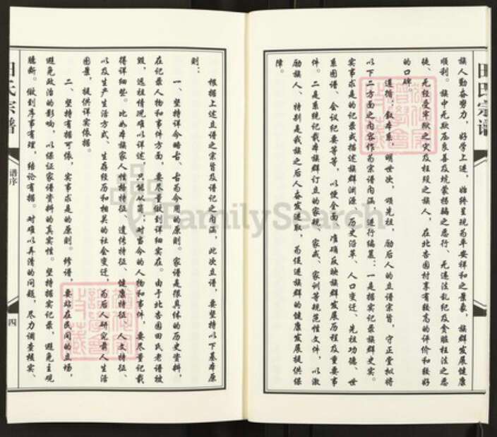 青海省西宁市青海省西宁市田氏守正堂族谱-田氏宗谱.pdf电子版预览图5