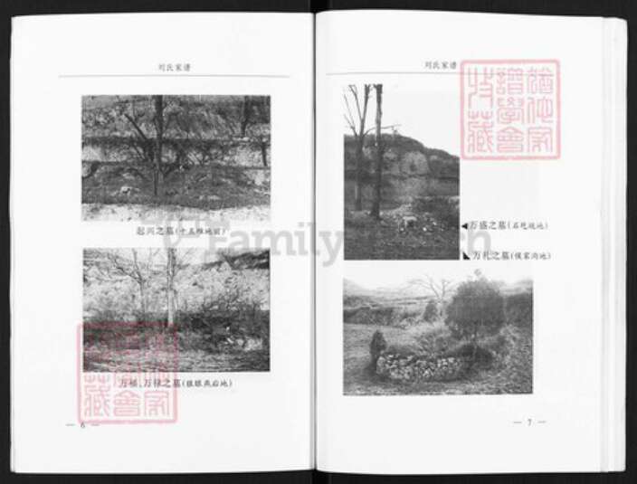 山西省临汾市乡宁县光华镇刘氏族谱-刘氏家谱.pdf电子版预览图5