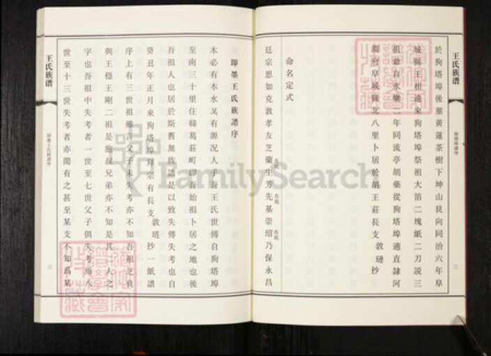 山东省青岛市崂山区王氏族谱-中韩王氏族谱.pdf电子版预览图5