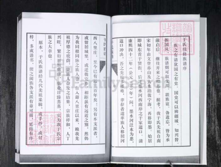 山东省青岛市即墨区于氏族谱-即墨八里庄于氏族谱.pdf电子版预览图5