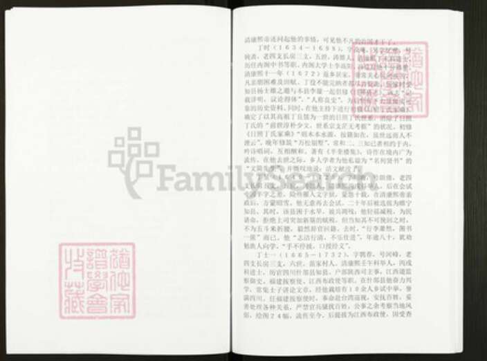 山东省日照市丁氏族谱-丁氏族谱.pdf电子版预览图5