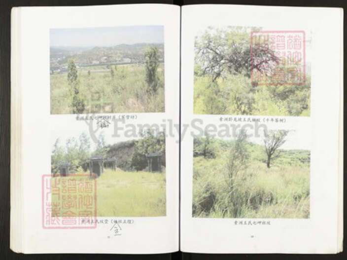 山西省晋中市灵石县两渡镇王氏族谱-王氏族谱.pdf电子版预览图5