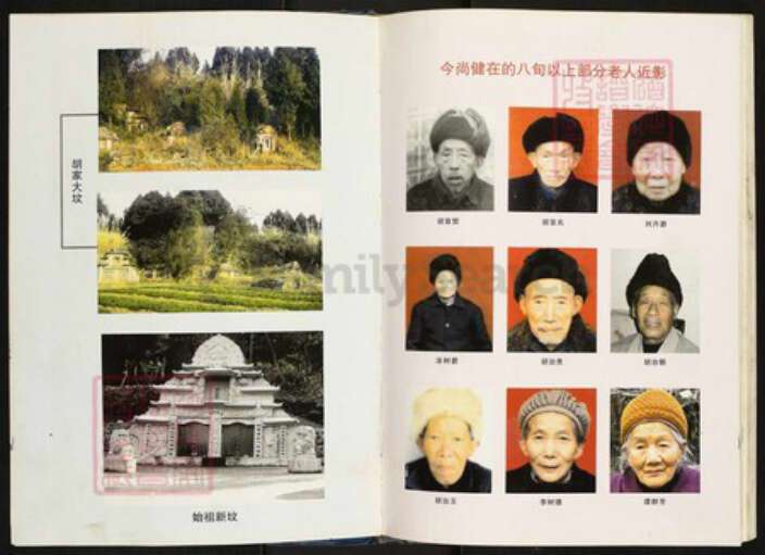 四川省南充市仪陇县四川省南充市仪陇县胡氏族谱-胡氏族谱.pdf电子版预览图5